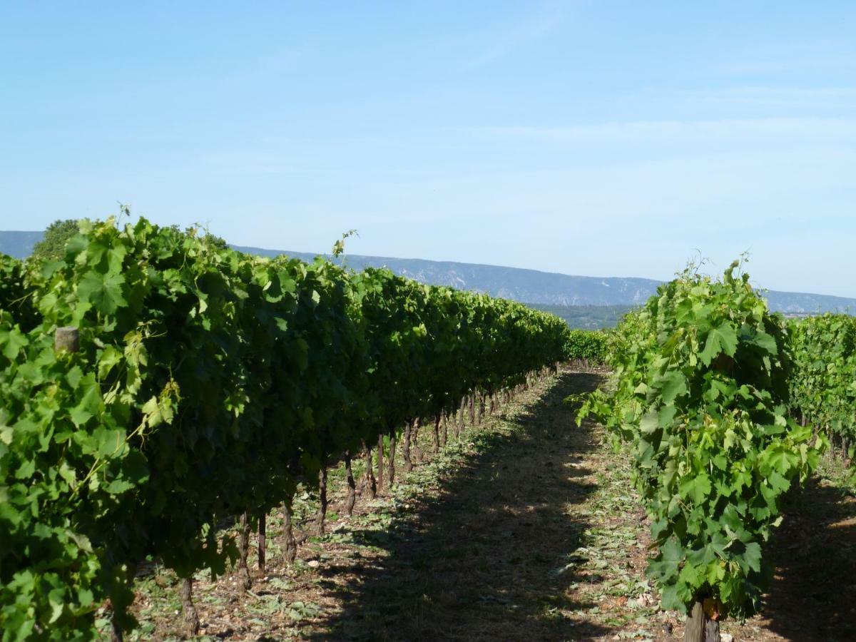 Luberon & Lavandes Roussillon en Isere Buitenkant foto