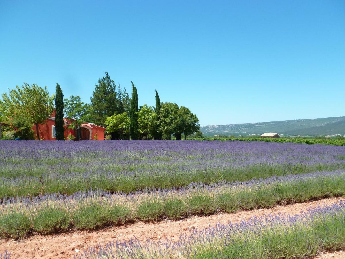 Luberon & Lavandes Roussillon en Isere Buitenkant foto