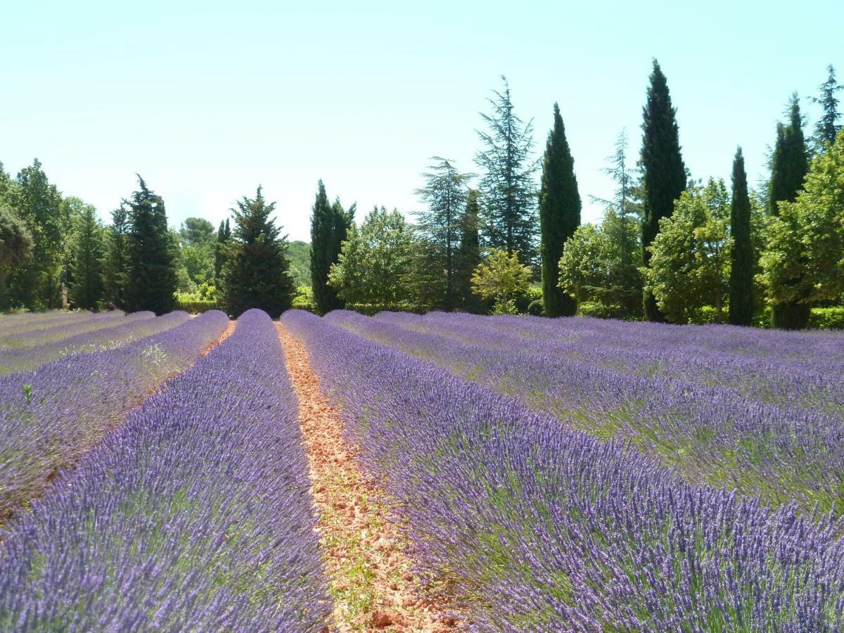 Luberon & Lavandes Roussillon en Isere Buitenkant foto